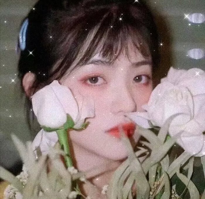 这个总统真太滥