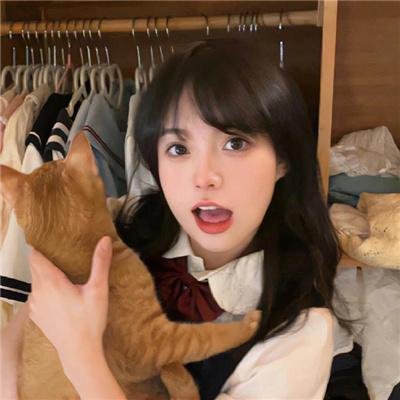 正义骑士